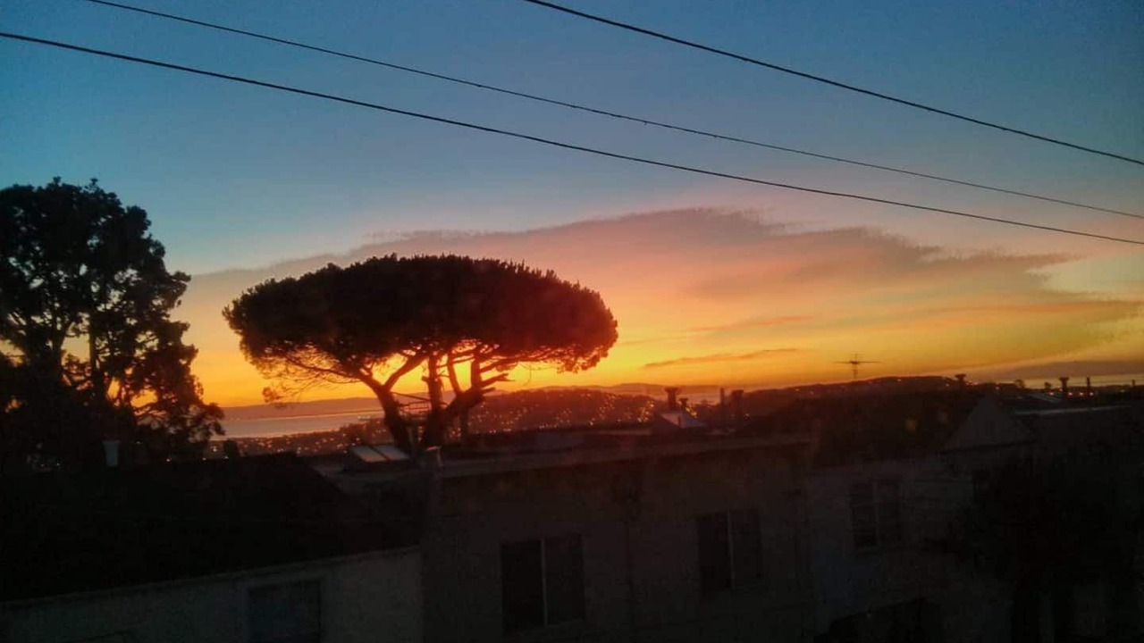Photo of Outdoor in Bernal Heights