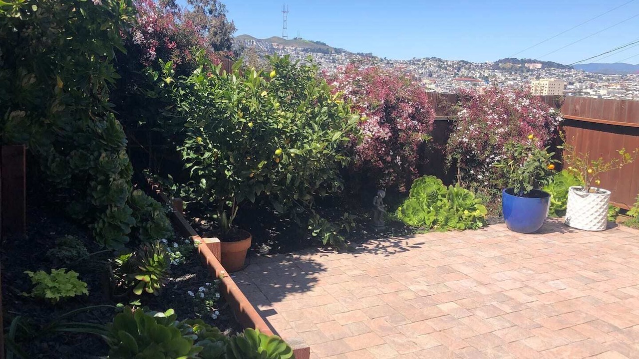 Photo of Outdoor in Bernal Heights