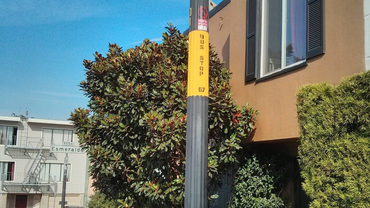 Photo of Outdoor in Bernal Heights