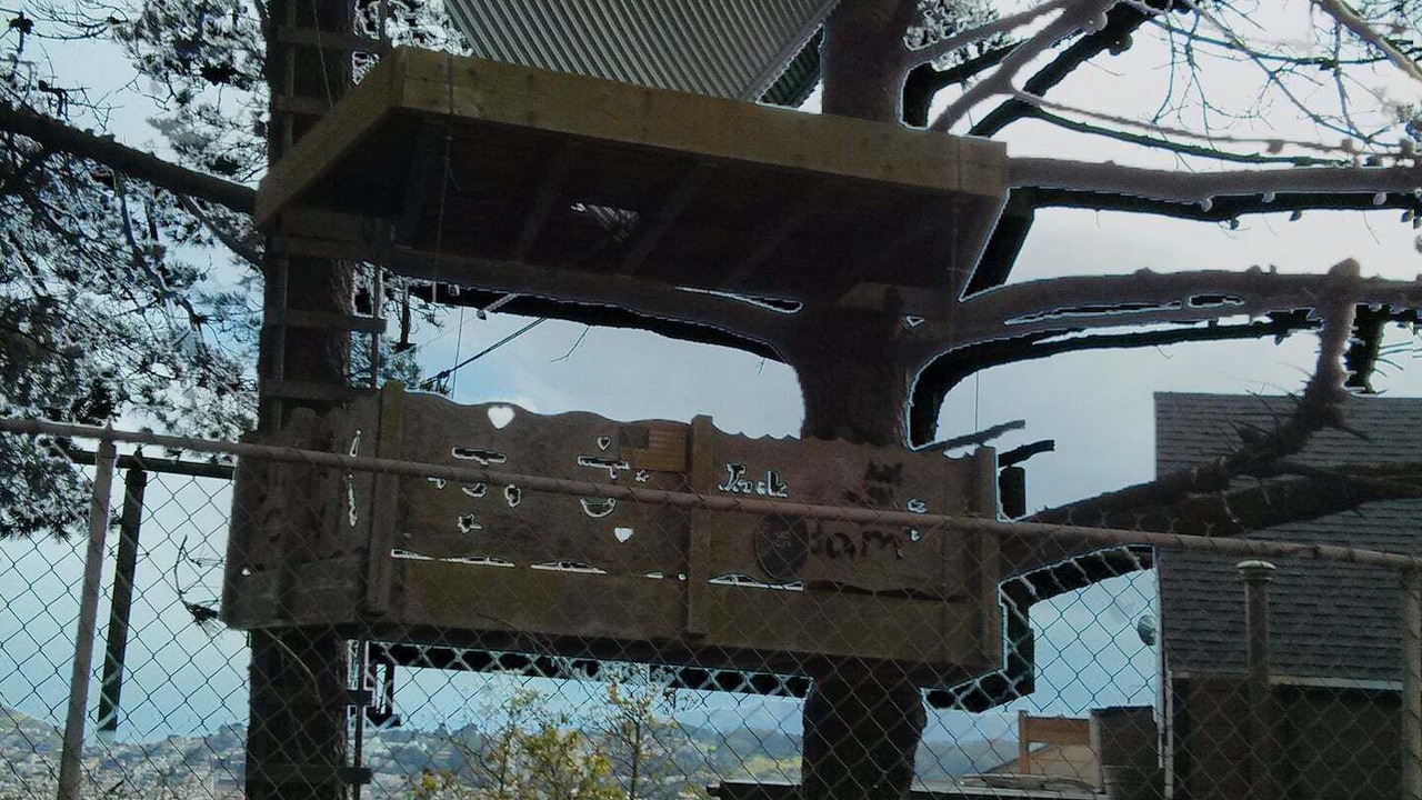 Photo of Outdoor in Bernal Heights