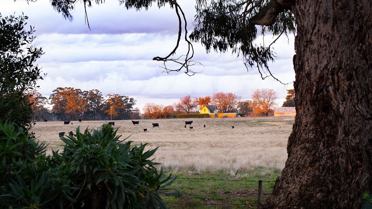 Photo of Others in Daylesford