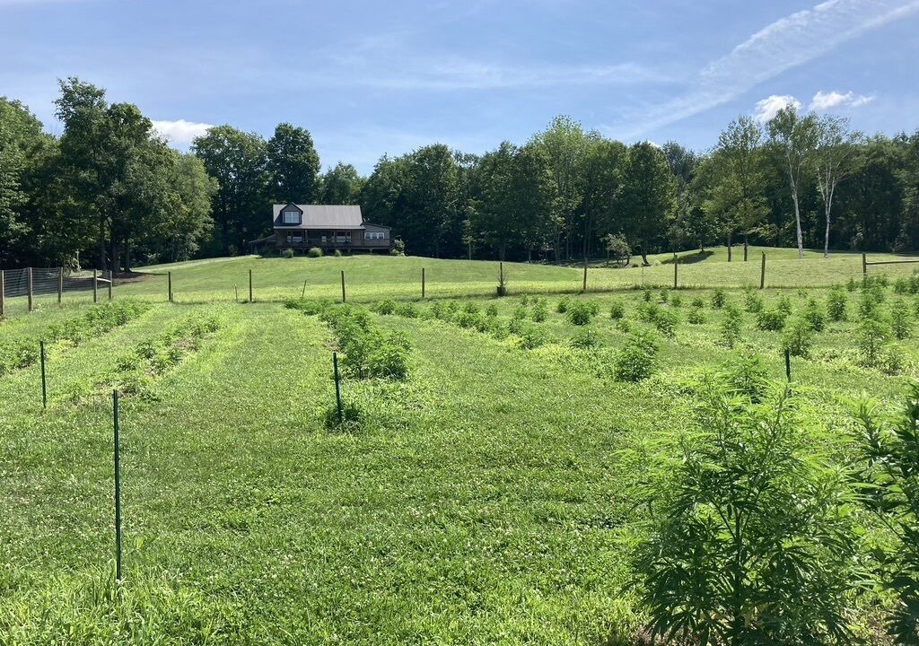 Photo of Outdoor in Pawlet