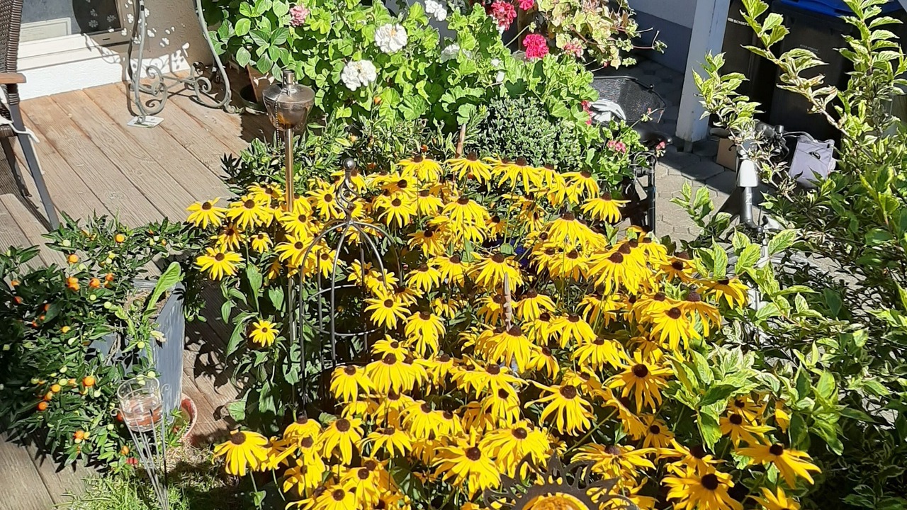 Photo of Patio Balcony in Trochtelfingen