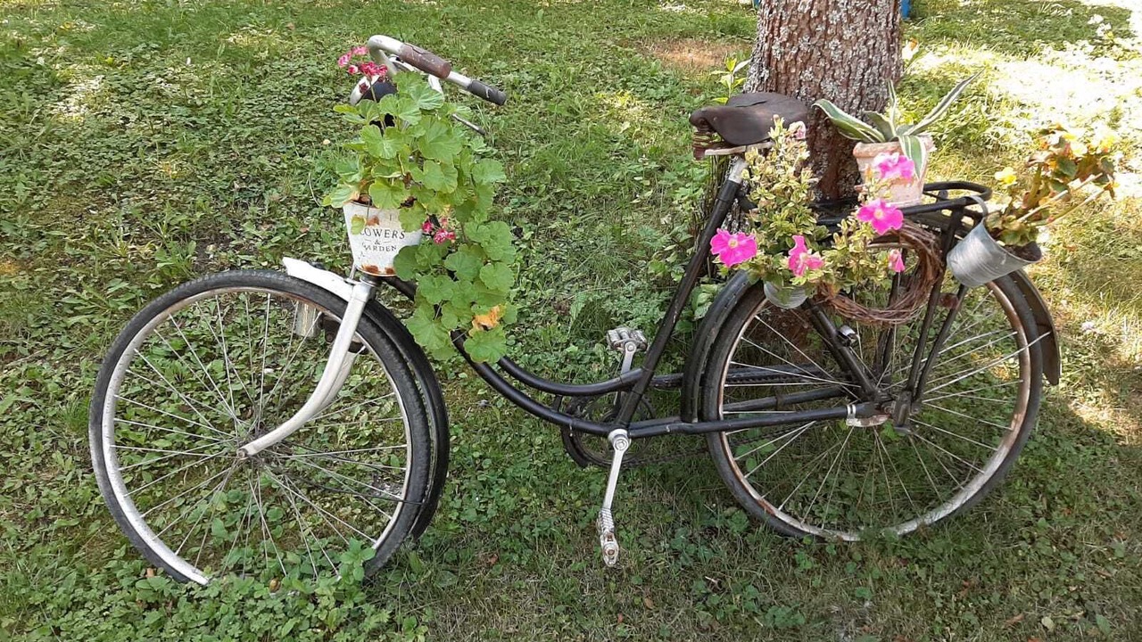Photo of Outdoor in Trochtelfingen