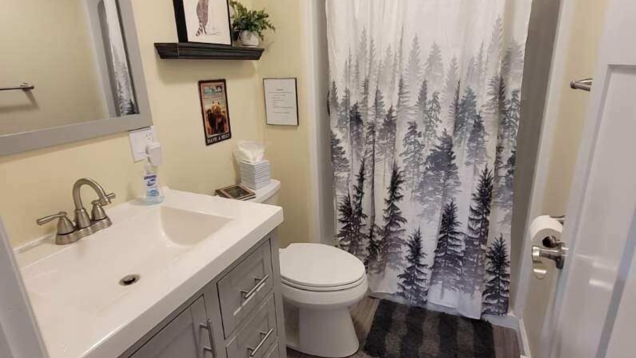 Photo of Bathroom in Lake Ariel