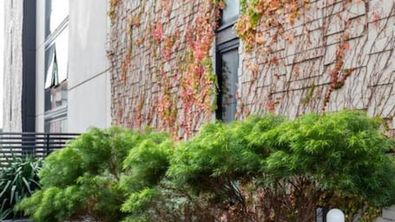 Photo of Patio Balcony in Collingwood