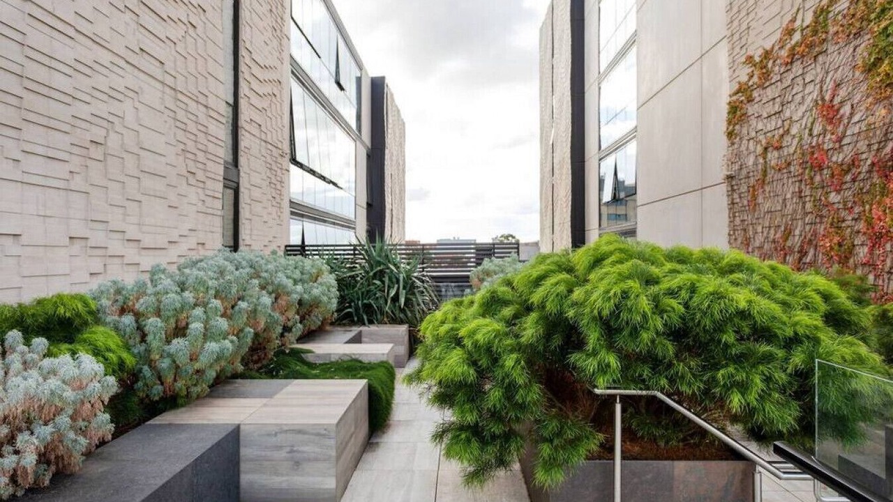 Photo of Outdoor in Collingwood