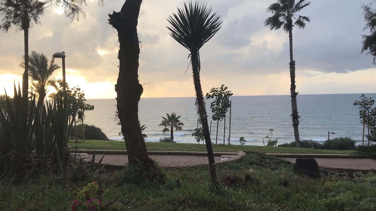 Photo of Outdoor in Netanya