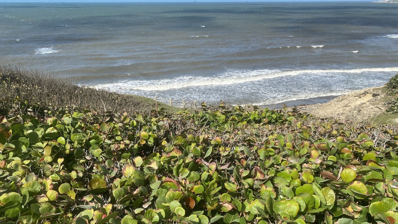 Photo of Others in Puerto Colombia