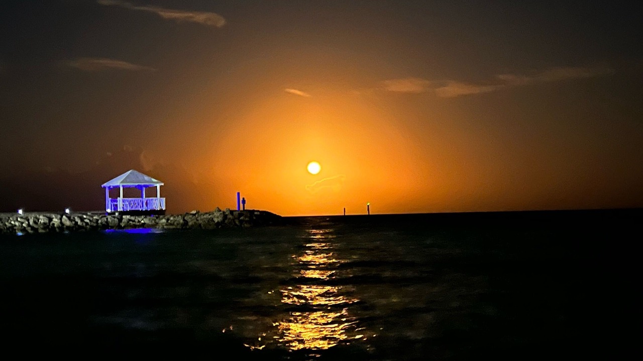 Photo of Others in Palm Cay