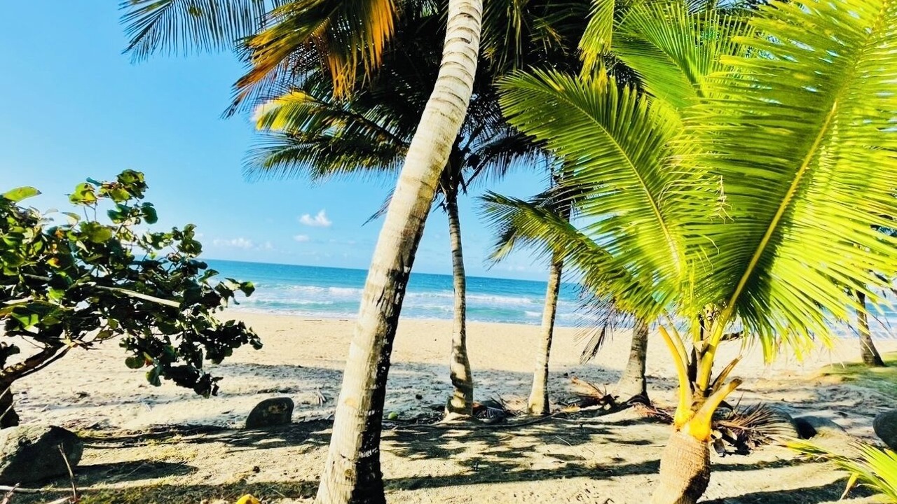 Photo of Others in Puerto Rico