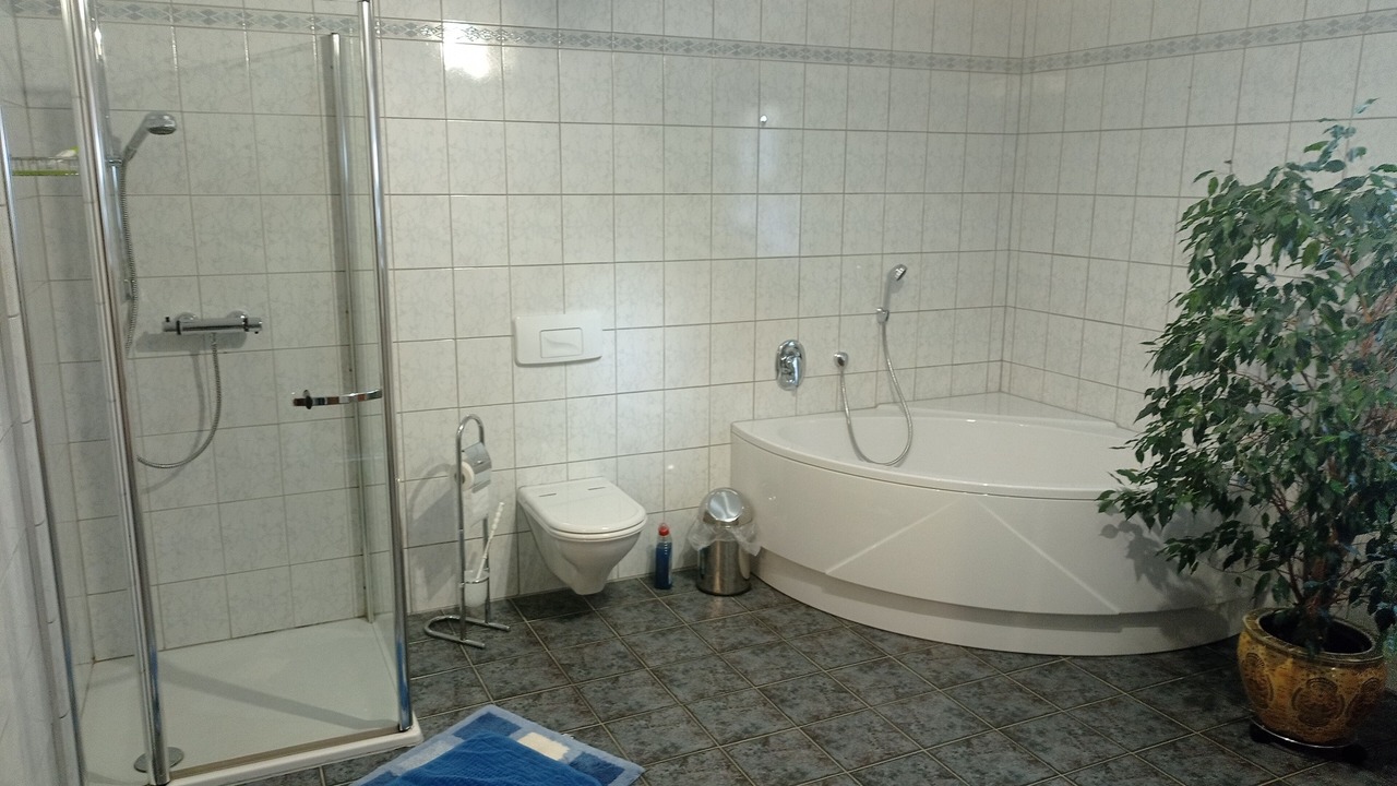 Photo of Bathroom in Hofen