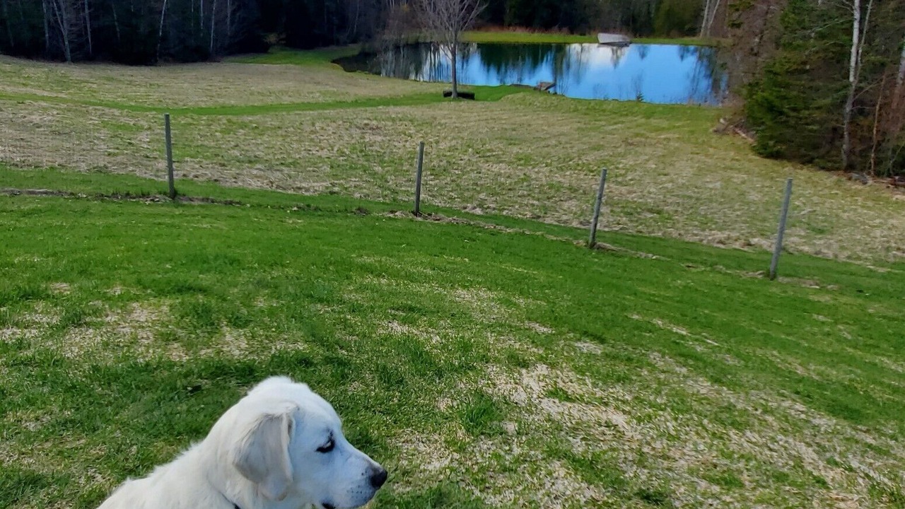 Photo of Outdoor in Cabot