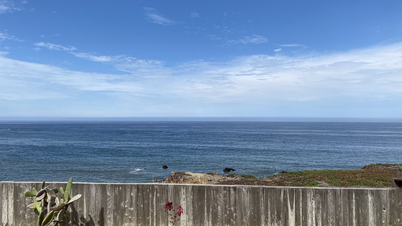 Photo of Others in Moss Beach