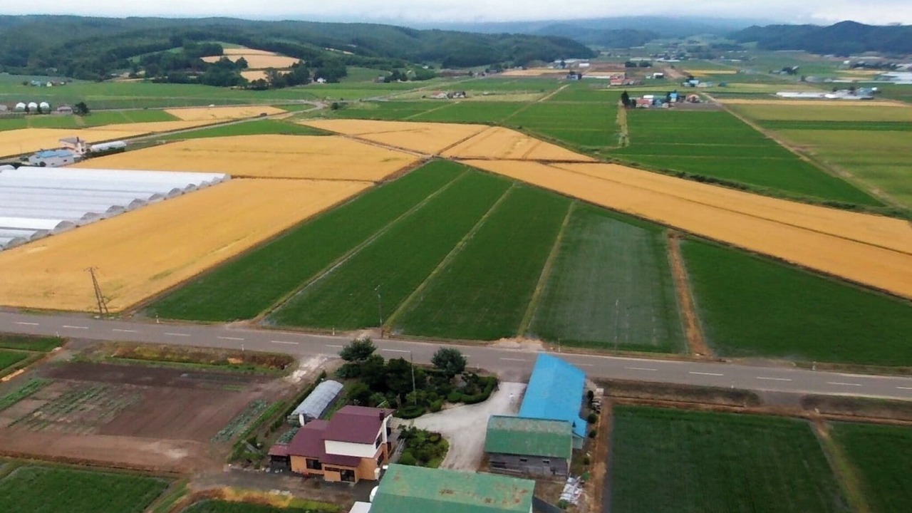 Photo of Outdoor in Sorachi-gun