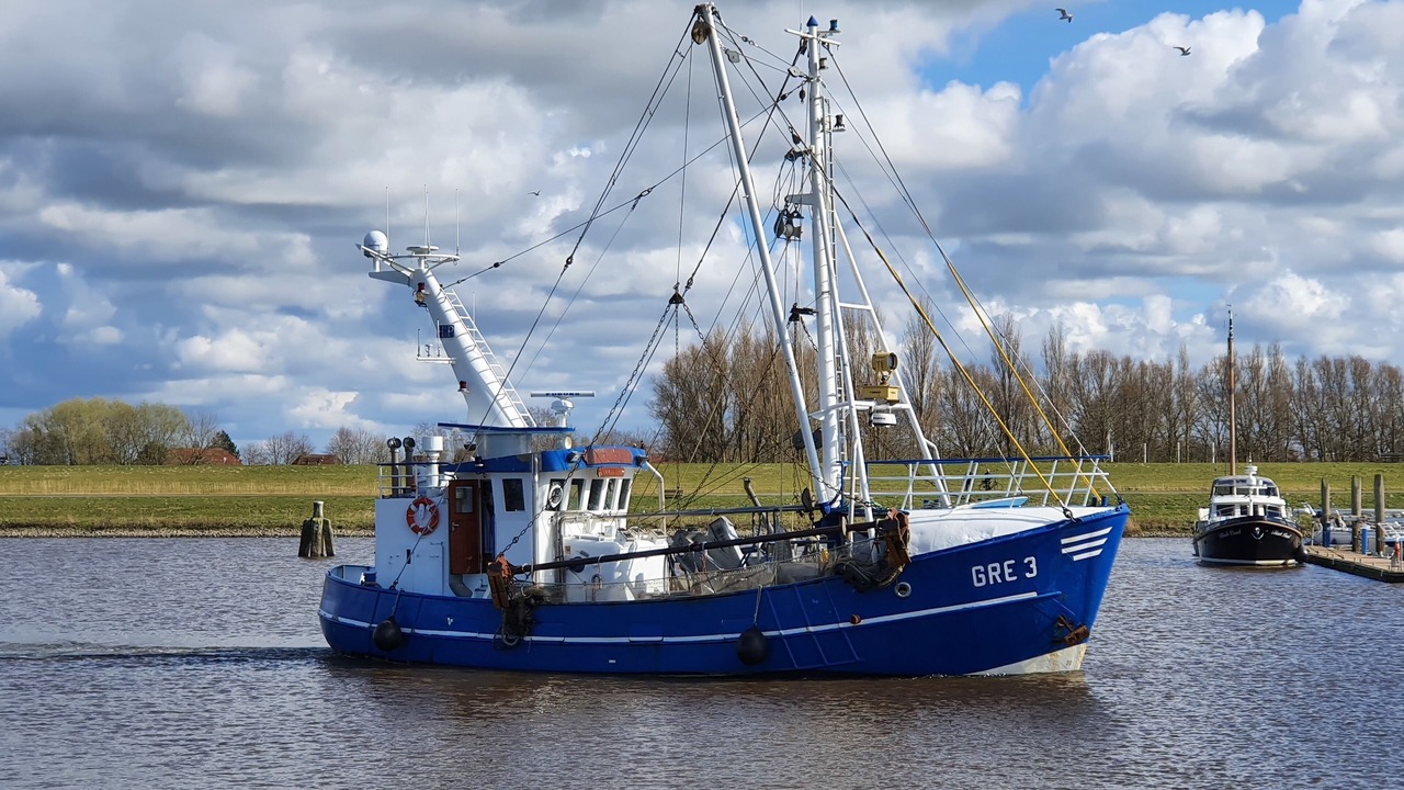 Photo of Others in Hamswehrum