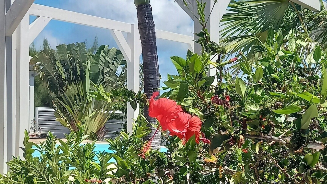 Photo of Outdoor in Oyster Pond