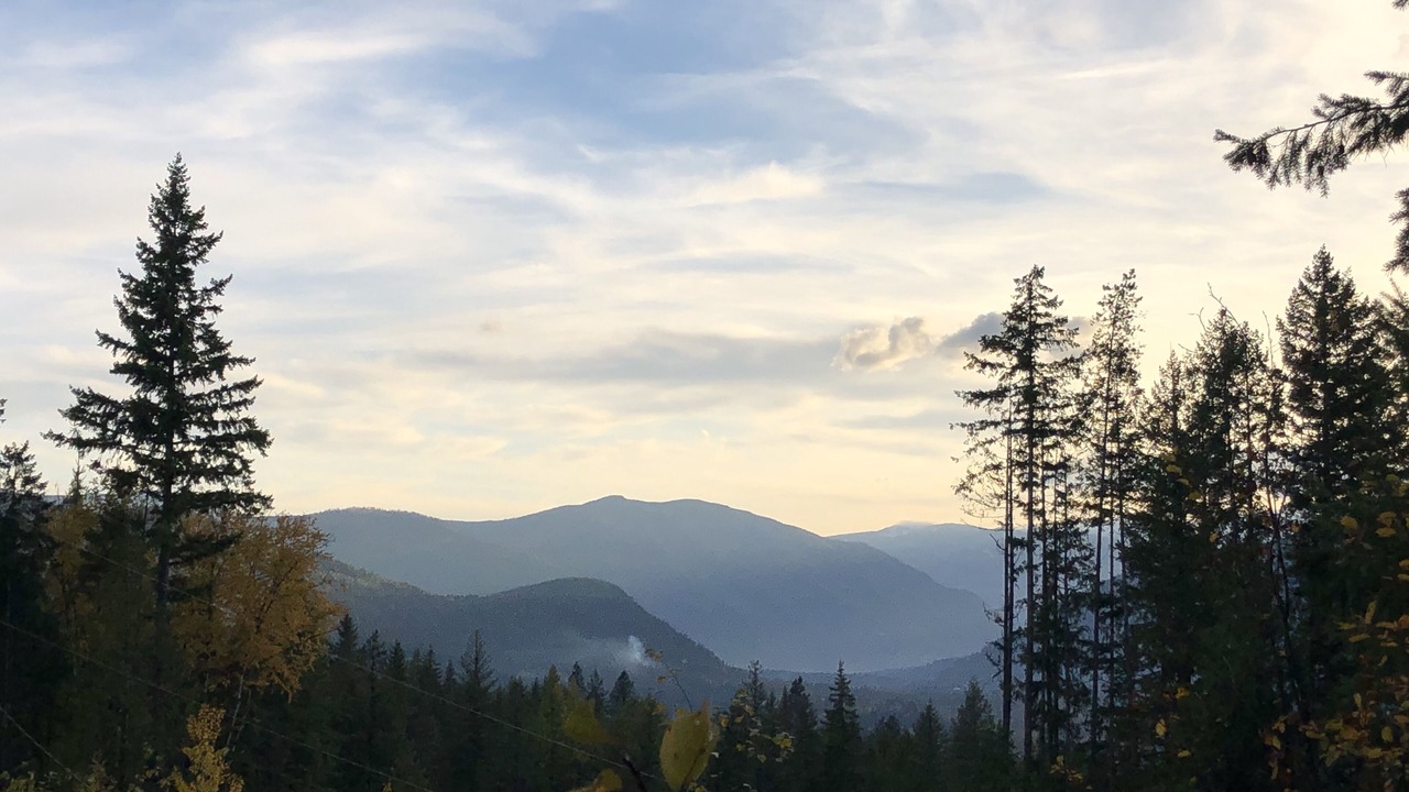 Photo of Others in Crescent Valley