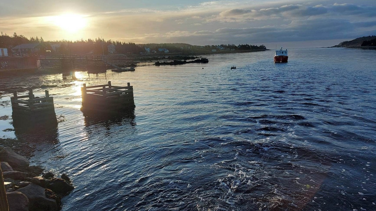 Photo of Others in Ketch Harbour