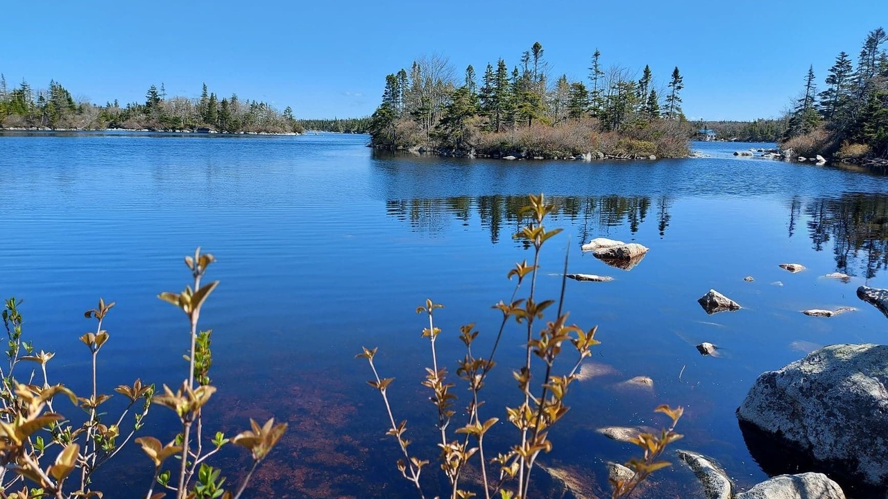 Photo of Outdoor in Ketch Harbour