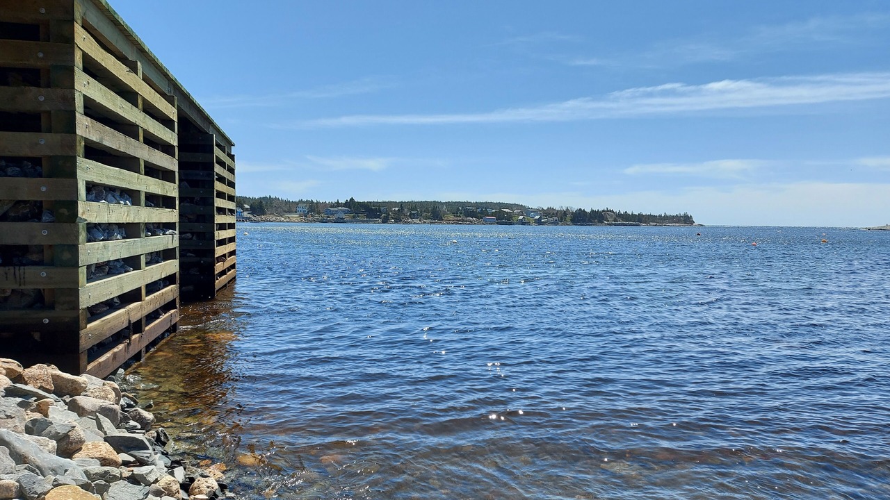 Photo of Others in Ketch Harbour