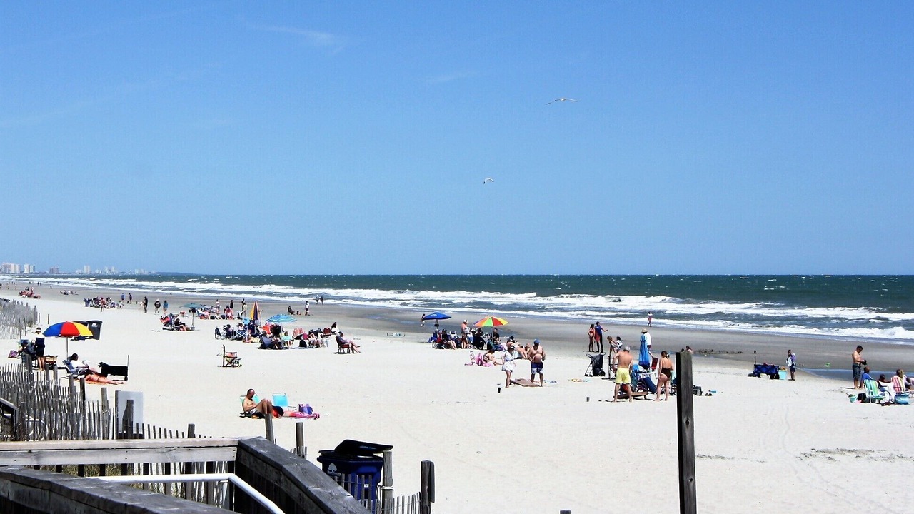 Photo of Others in Arcadian Shores