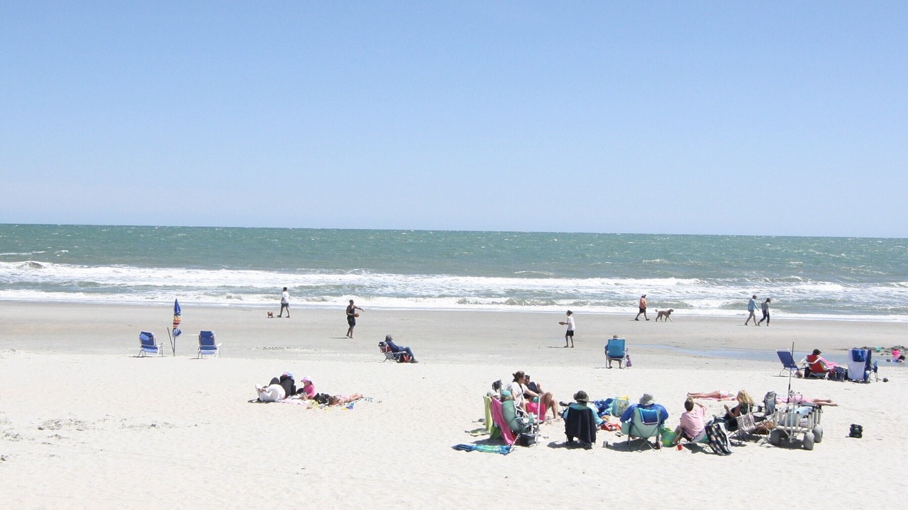 Photo of Others in Arcadian Shores