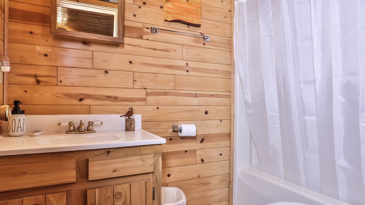Photo of Bathroom in Watersmeet