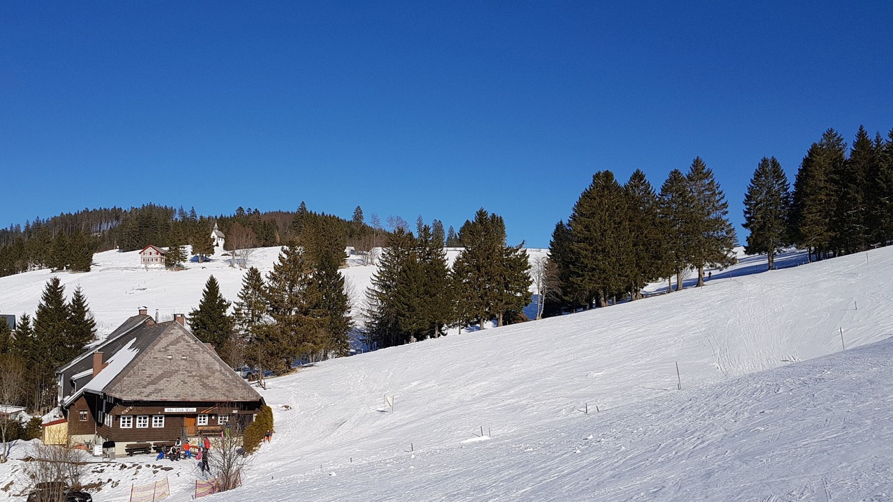 Photo of Others in Todtnauberg