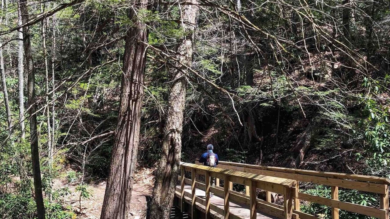 Photo of Outdoor in Rock Hill