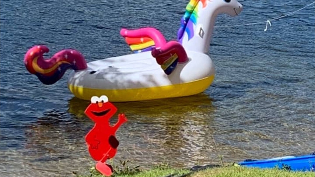 Photo of Others in Lochmere