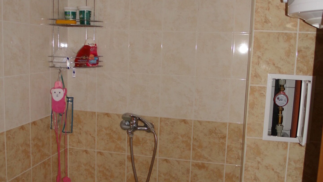 Photo of Bathroom in Tankovo