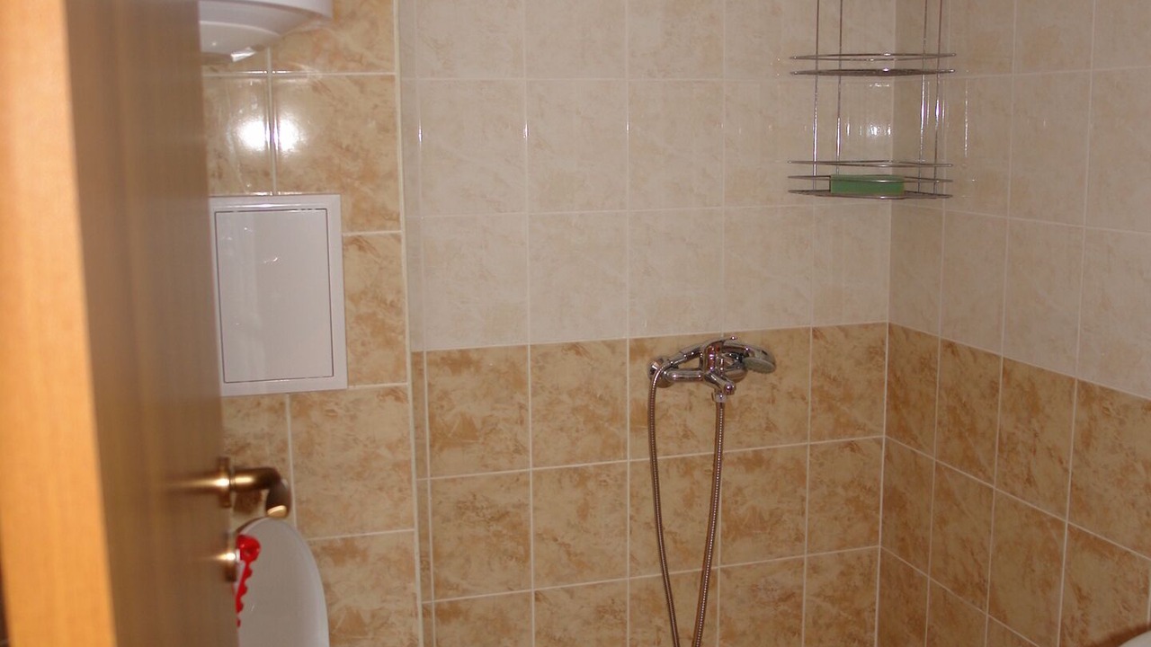 Photo of Bathroom in Tankovo