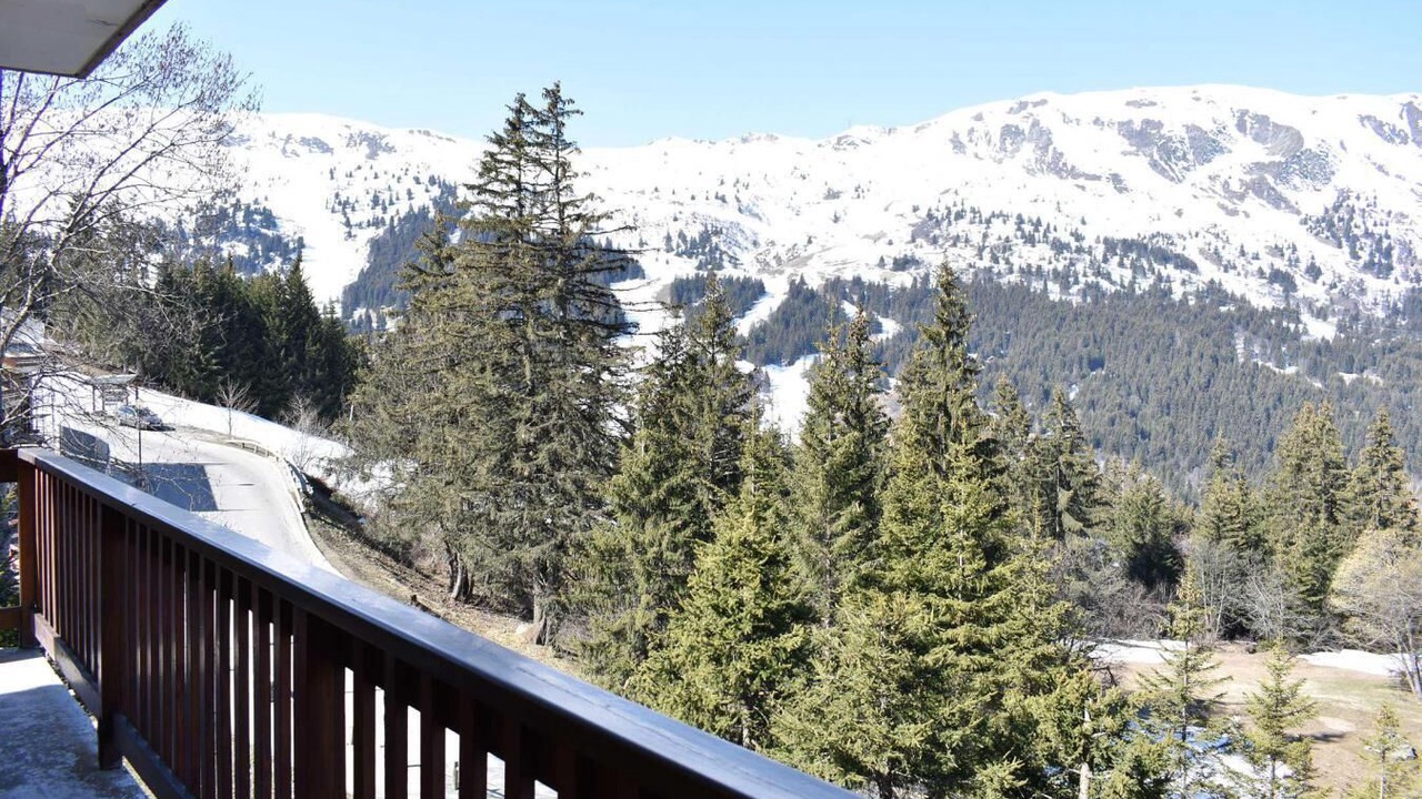 Photo of Outdoor in Meribel