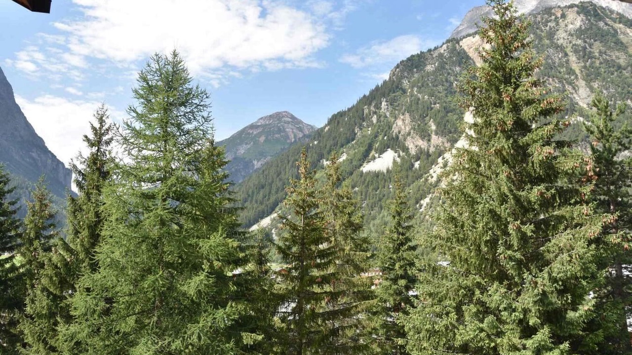 Photo of Others in Pralognan-la-Vanoise