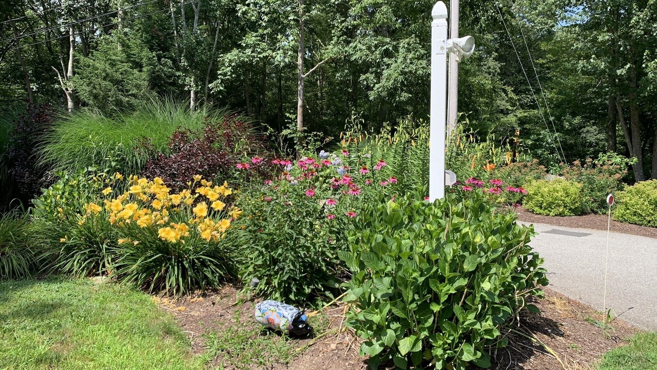 Photo of Outdoor in Old Mystic