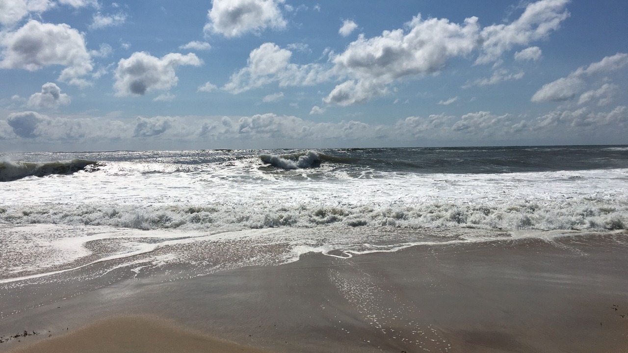 Photo of Others in Napeague