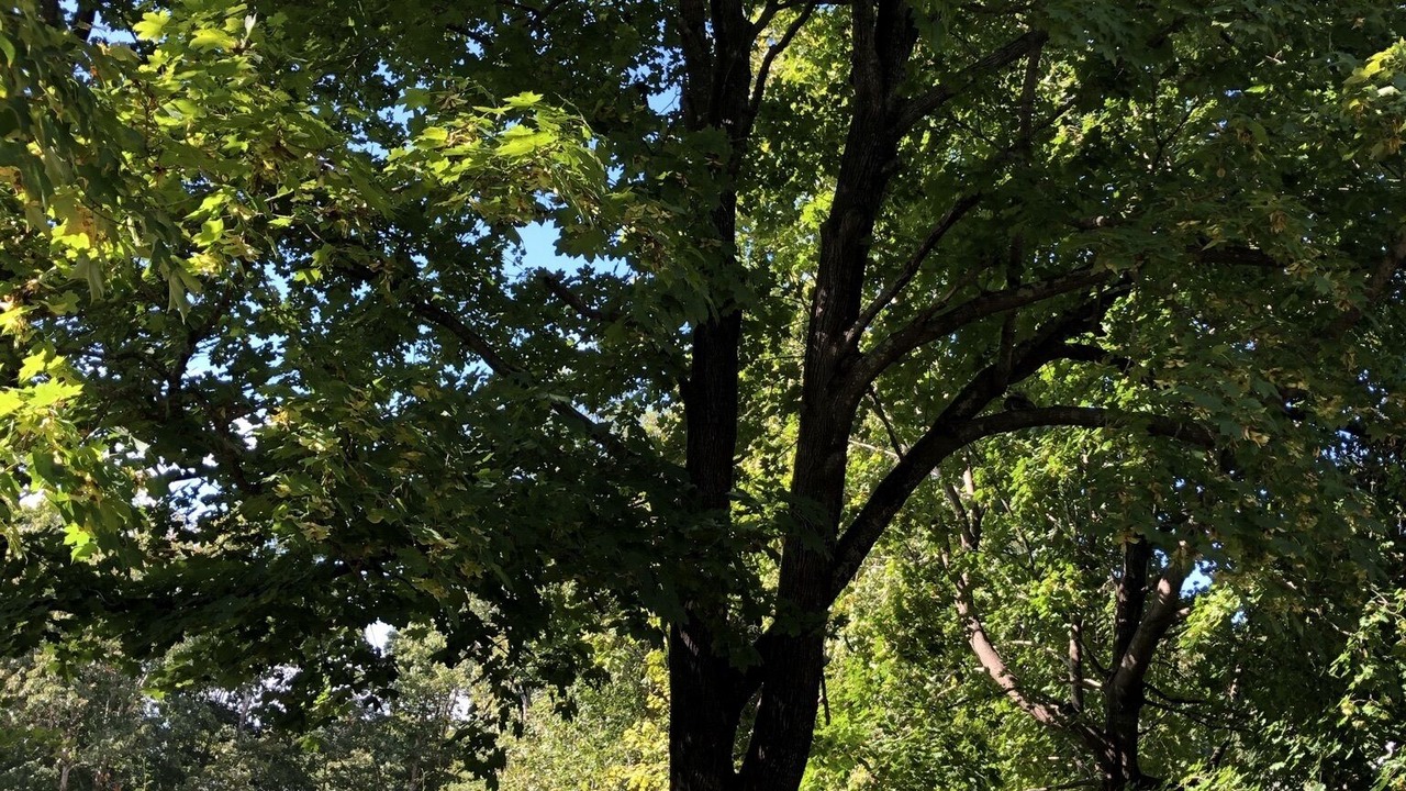Photo of Outdoor in Westhampton