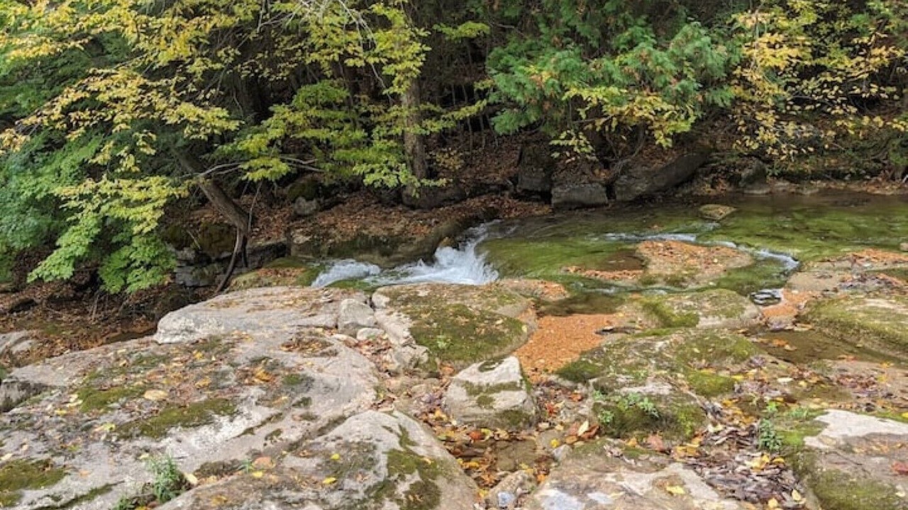 Photo of Outdoor in Munnsville