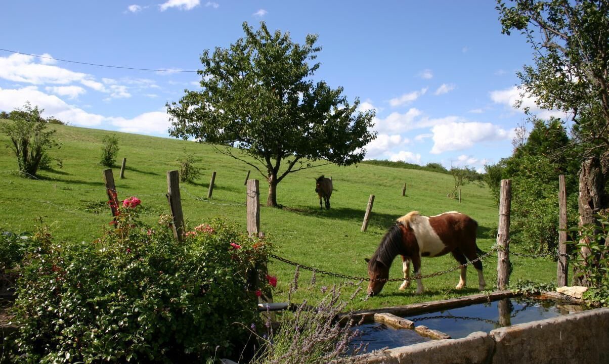 Photo of Outdoor in Poleymieux-au-Mont-d'Or