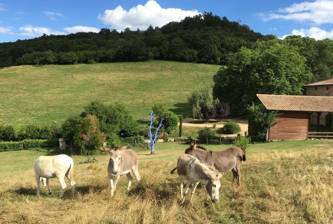 Photo of Outdoor in Poleymieux-au-Mont-d'Or