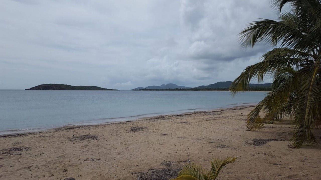 Photo of Others in Villa Borinquen