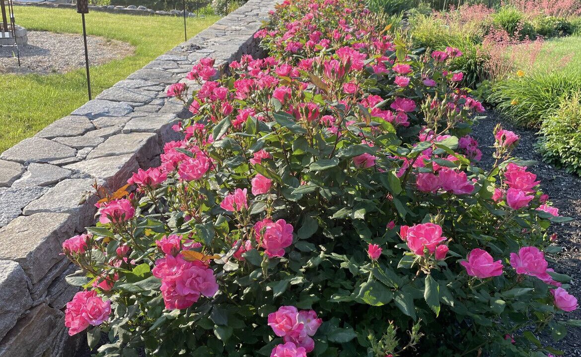 Photo of Outdoor in Waterford