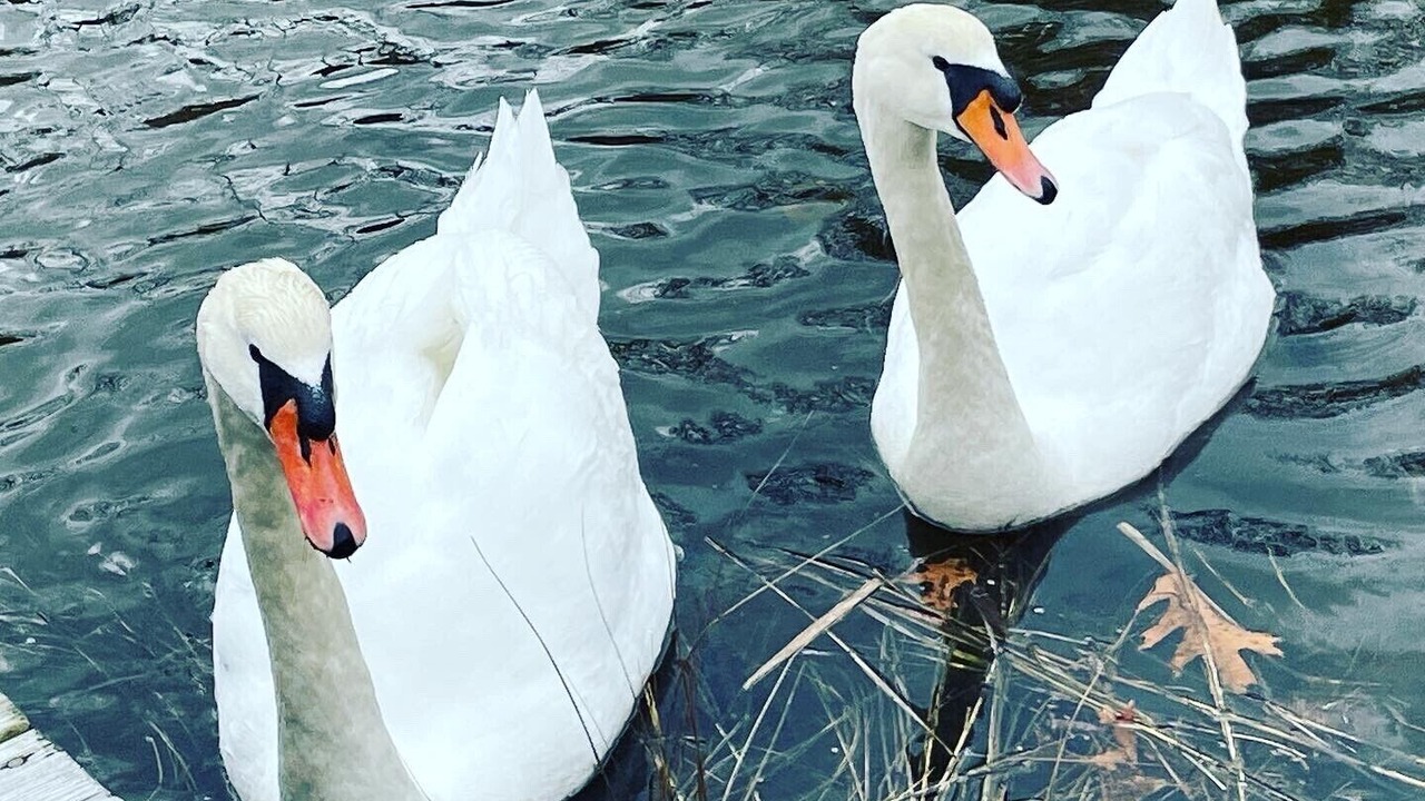 Photo of Outdoor in Waterford