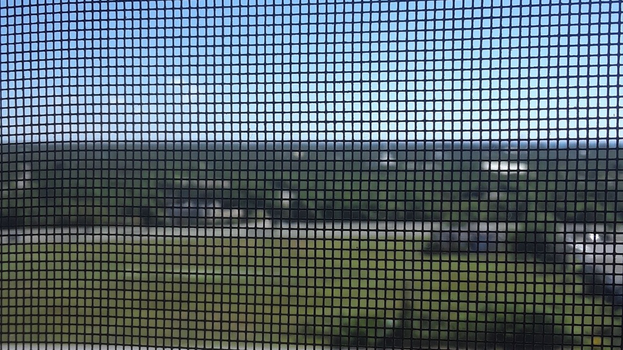 Photo of Outdoor in Greening Glade