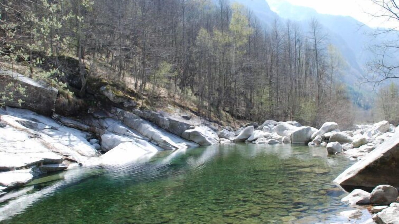 Photo of Others in Lavizzara