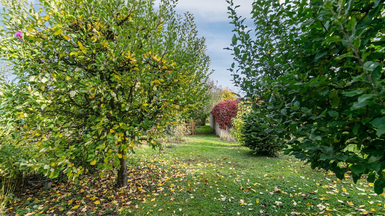 Photo of Outdoor in Schmargendorf
