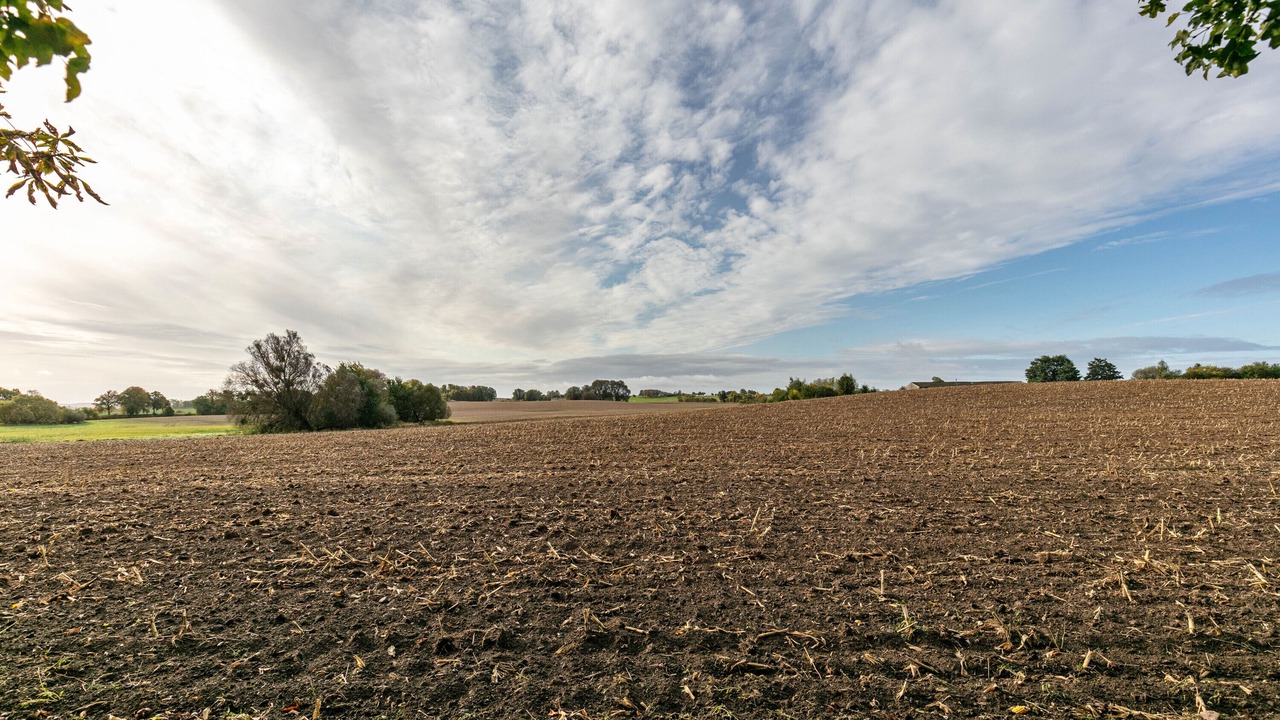Photo of Others in Schmargendorf