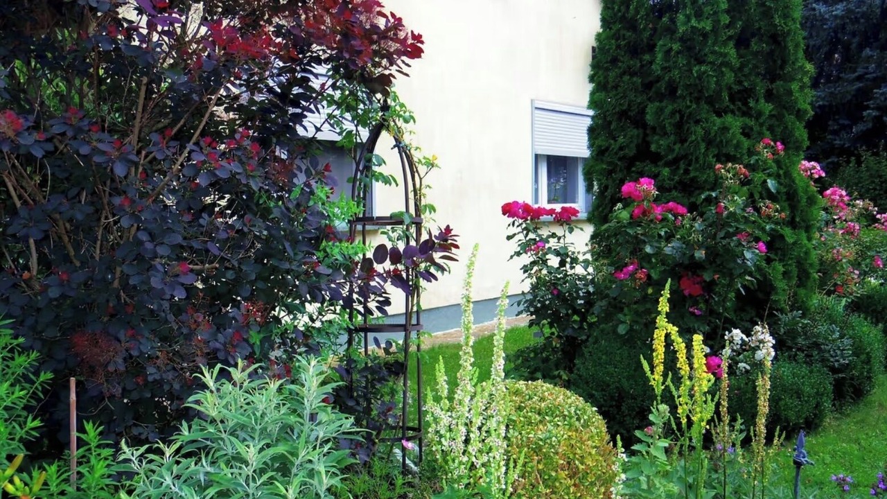 Photo of Outdoor in Schmargendorf