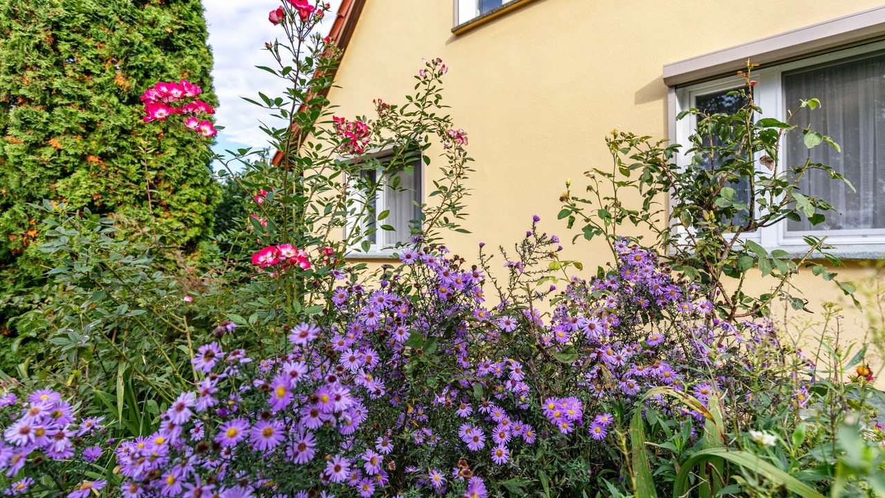 Photo of Outdoor in Schmargendorf
